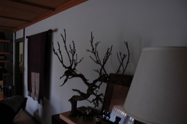 HI50 S5 DSC 0630 HI50 S5 DSC 0630