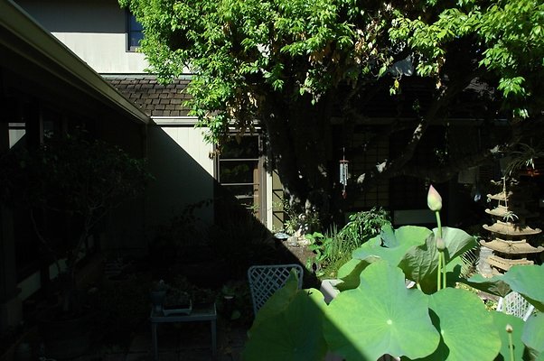 HI50 S5 DSC 0667 HI50 S5 DSC 0667