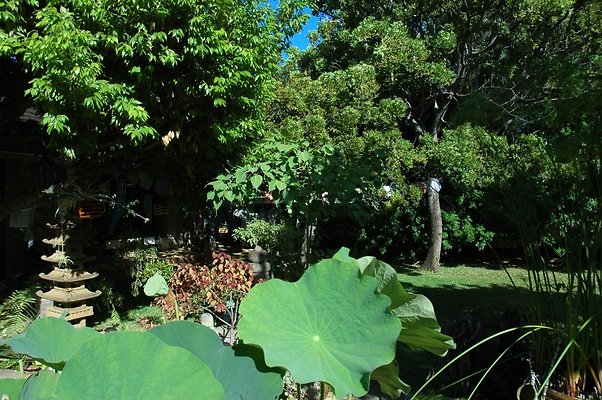 HI50 S5 DSC 0668 HI50 S5 DSC 0668