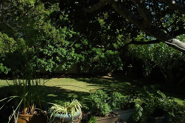 HI50 S5 DSC 0669 HI50 S5 DSC 0669