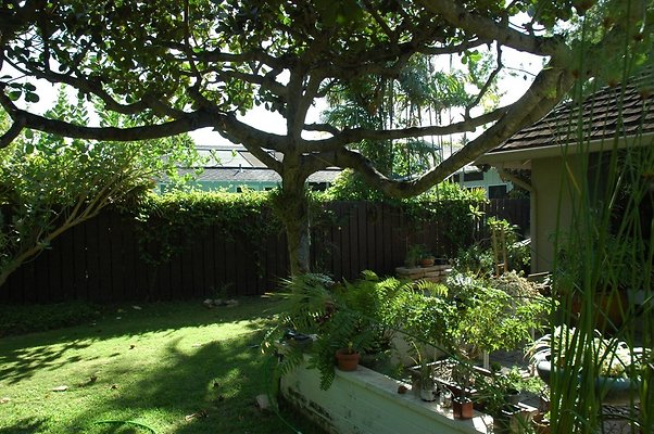 HI50 S5 DSC 0674 HI50 S5 DSC 0674