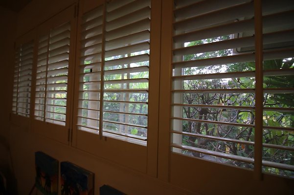 th IMG 2595 th IMG 2595