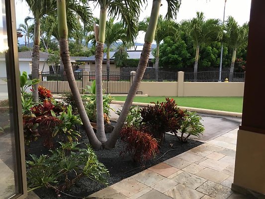 th IMG 3998 th IMG 3998