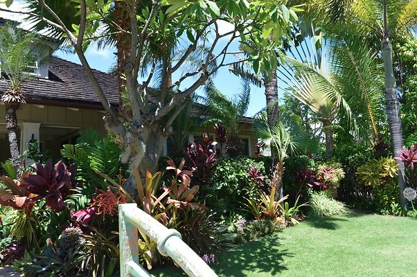 th DSC 003 th DSC 003