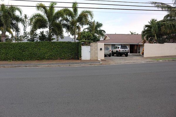 th IMG 1155 th IMG 1155