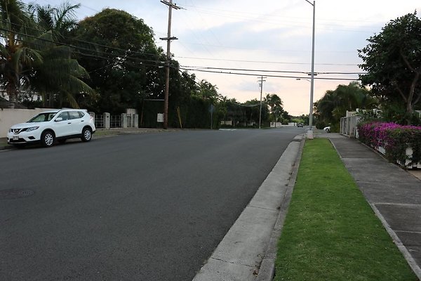 th IMG 1156 th IMG 1156