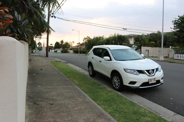 th IMG 1175 th IMG 1175