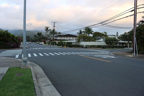 th IMG 1154 th IMG 1154