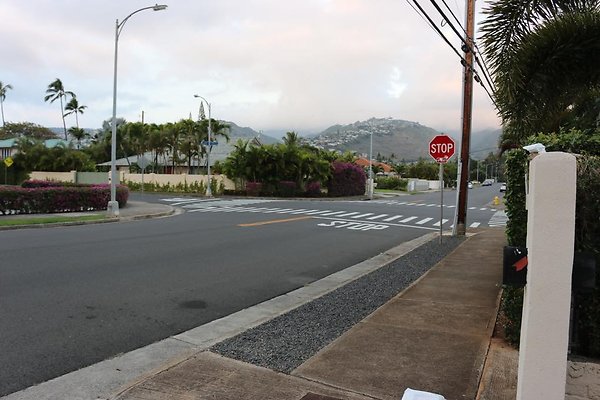 th IMG 1177 th IMG 1177