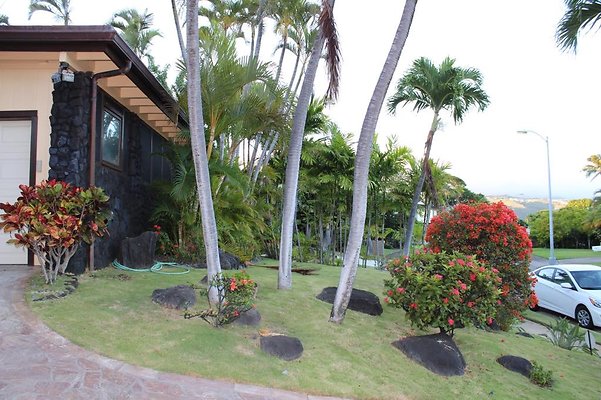 th IMG 2454 th IMG 2454