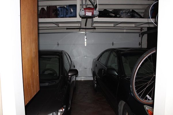 th IMG 2419 th IMG 2419