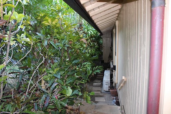 th IMG 2450 th IMG 2450