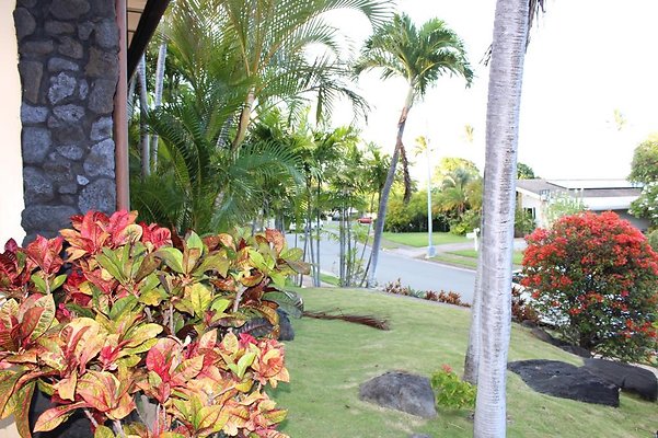 th IMG 2398 th IMG 2398