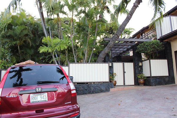 th IMG 2452 th IMG 2452