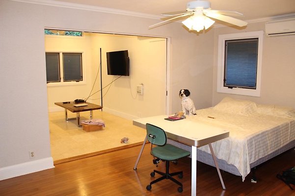 th IMG 2428 th IMG 2428