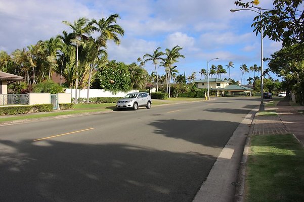 th IMG 003 th IMG 003