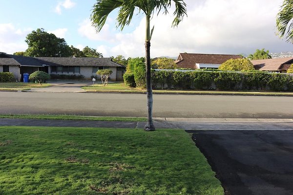 th IMG 0646 th IMG 0646