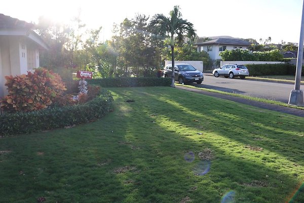 th IMG 0645 th IMG 0645