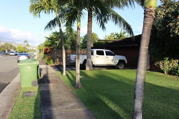 th IMG 0695 th IMG 0695