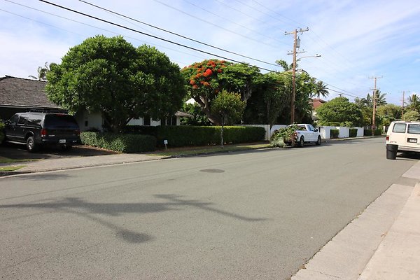 th IMG 1341 th IMG 1341