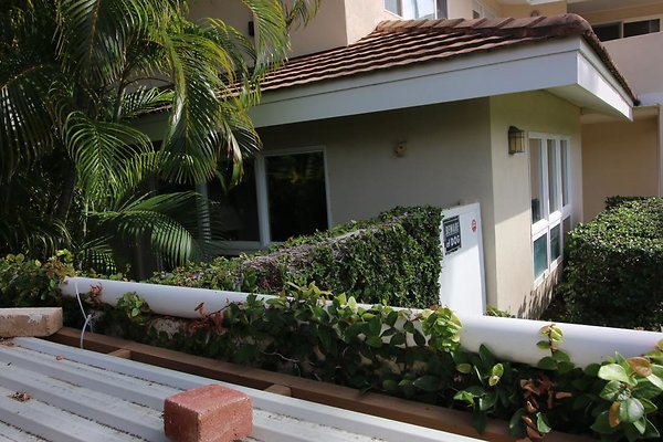 th IMG 1349 th IMG 1349