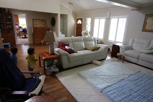 th IMG 1353 th IMG 1353