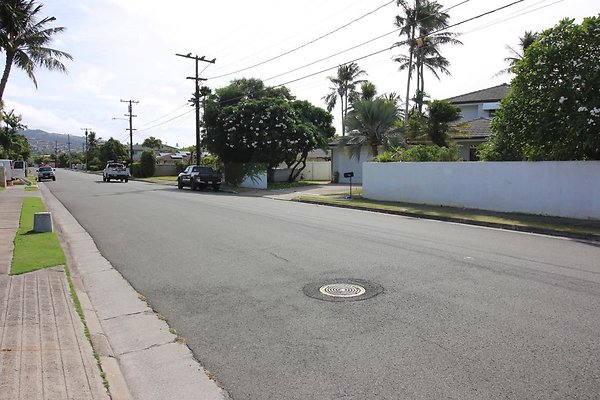 th IMG 1339 th IMG 1339