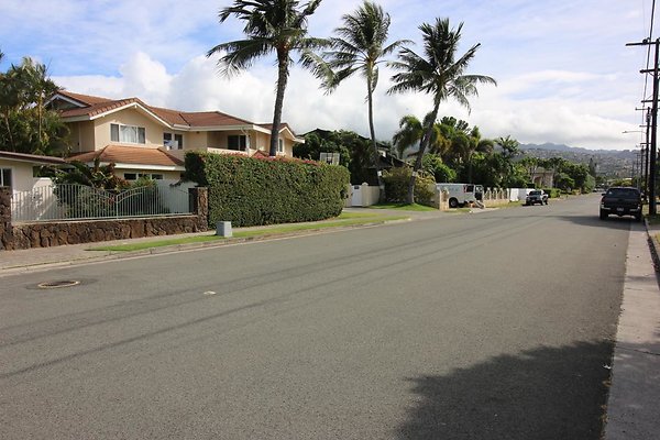 th IMG 1338 th IMG 1338