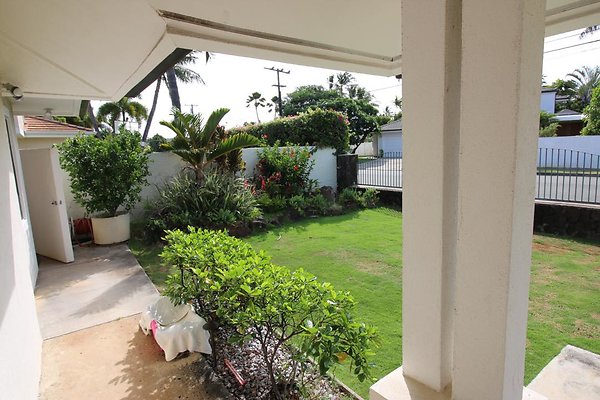 th IMG 1342 th IMG 1342