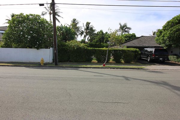 th IMG 1340 th IMG 1340