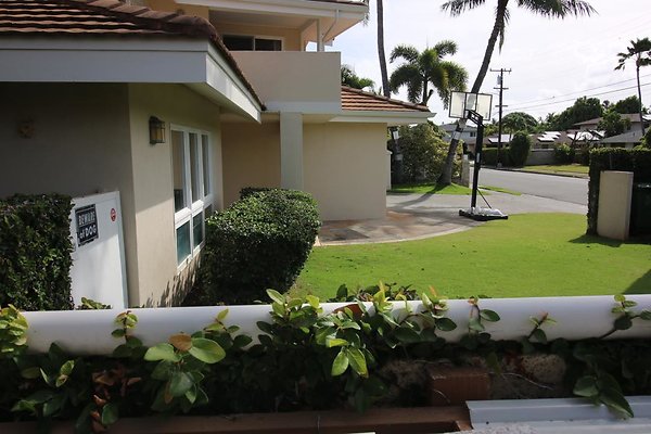 th IMG 1350 th IMG 1350