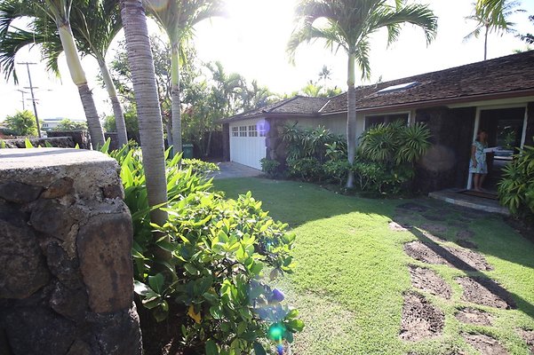 th IMG 3498 th IMG 3498