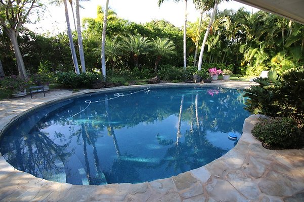 th IMG 3508 th IMG 3508