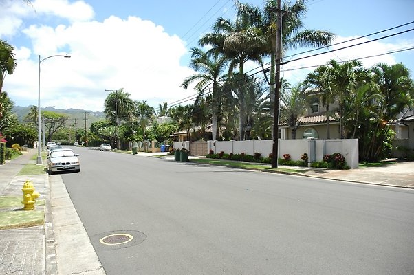 HI50 S5 Yamamoto 657 HI50 S5 Yamamoto 657