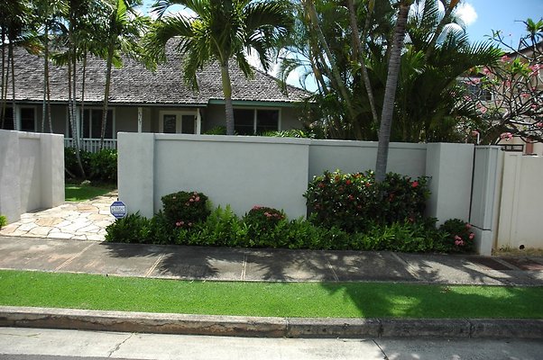 HI50 S5 Yamamoto 662 HI50 S5 Yamamoto 662