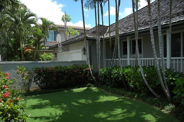 HI50 S5 Yamamoto 666 HI50 S5 Yamamoto 666