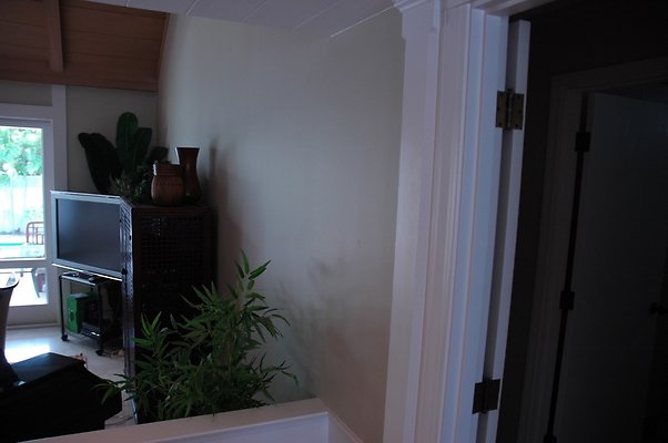 HI50 S5 Yamamoto 699 HI50 S5 Yamamoto 699