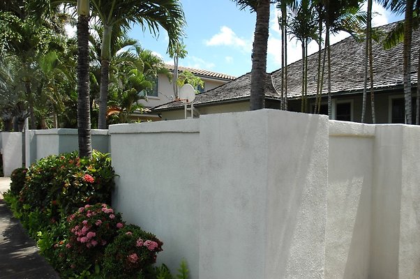 HI50 S5 Yamamoto 663 HI50 S5 Yamamoto 663