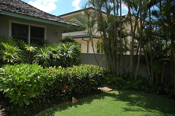 HI50 S5 Yamamoto 668 HI50 S5 Yamamoto 668