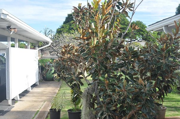 th DSC 0219 th DSC 0219