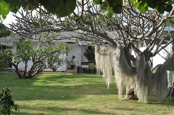 th DSC 0216 th DSC 0216