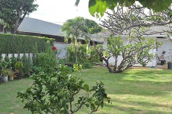 th DSC 0215 th DSC 0215