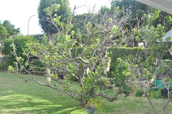 th DSC 0223 th DSC 0223