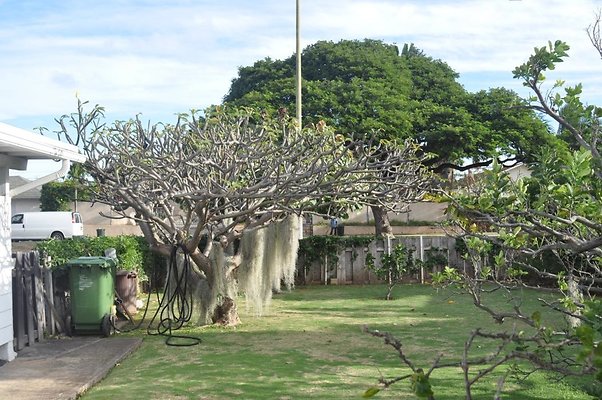 th DSC 0222 th DSC 0222