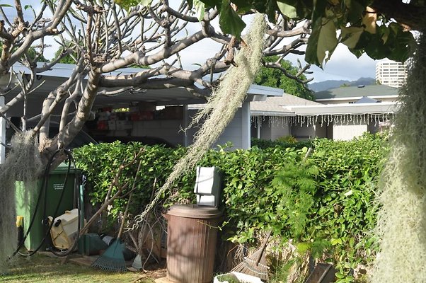 th DSC 0217 th DSC 0217