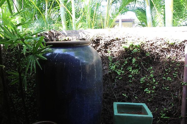 hi50 IMG 2096 hi50 IMG 2096