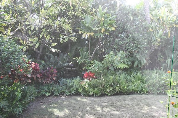 hi50 IMG 2072 hi50 IMG 2072