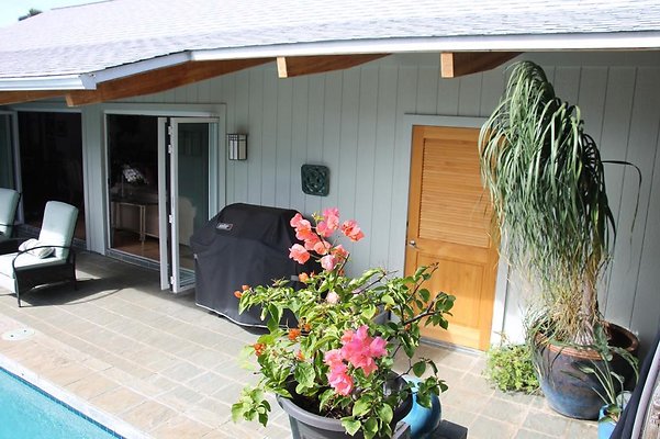 hi50 IMG 2088 hi50 IMG 2088