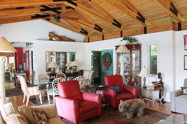 hi50 IMG 2045 hi50 IMG 2045