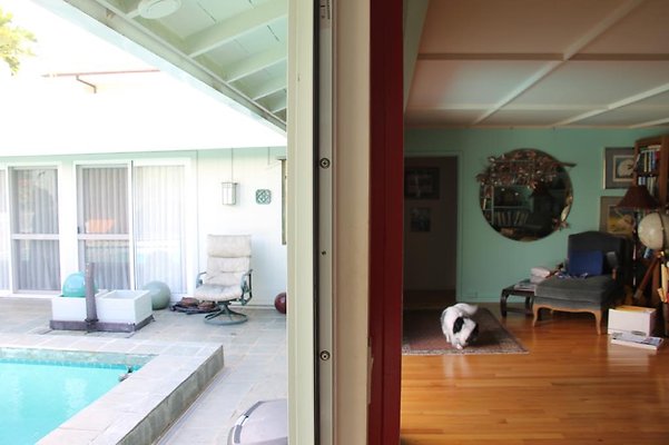 hi50 IMG 2067 hi50 IMG 2067